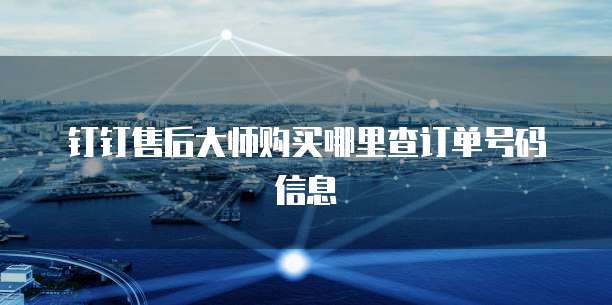 钉钉售后大师购买哪里查订单号码信息