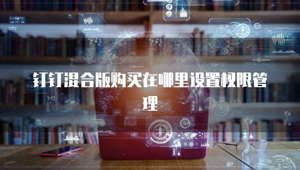 钉钉混合版购买在哪里设置权限管理