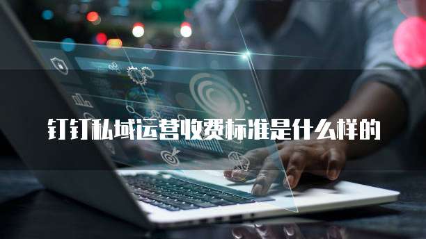钉钉私域运营收费标准是什么样的