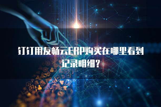 钉钉用友畅云ERP购买在哪里看到记录明细?