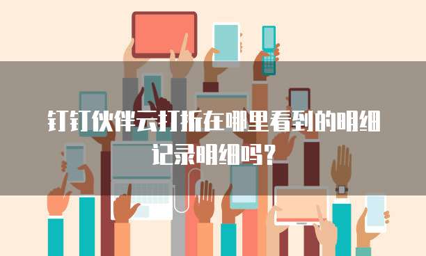 钉钉伙伴云打折在哪里看到的明细记录明细吗?