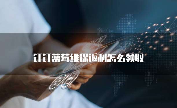 钉钉蓝莓维保返利怎么领取