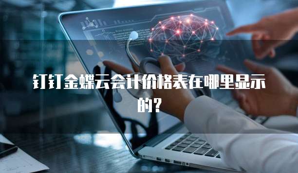 钉钉金蝶云会计价格表在哪里显示的?
