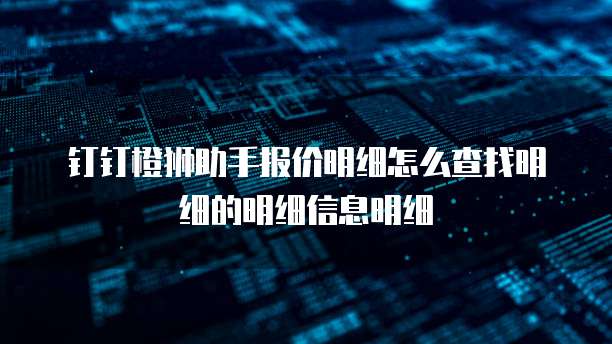 钉钉橙狮助手报价明细怎么查找明细的明细信息明细