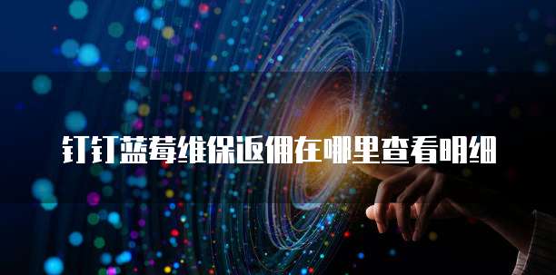 钉钉蓝莓维保返佣在哪里查看明细