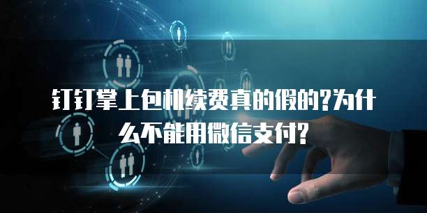 钉钉掌上包机续费真的假的?为什么不能用微信支付?