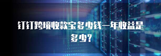 钉钉跨境收款宝多少钱一年收益是多少?
