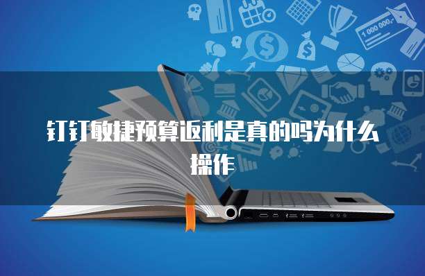 钉钉敏捷预算返利是真的吗为什么操作