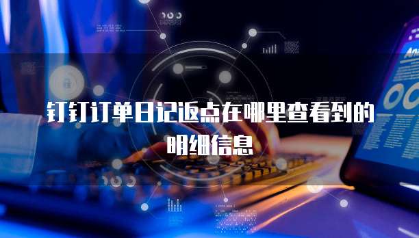 钉钉订单日记返点在哪里查看到的明细信息