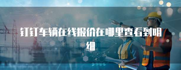 钉钉车辆在线报价在哪里查看到明细