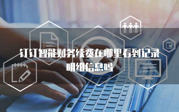 钉钉智能财务续费在哪里看到记录明细信息吗