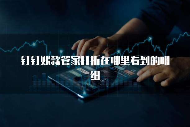 钉钉账款管家打折在哪里看到的明细