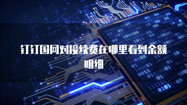 钉钉国网对接续费在哪里看到余额明细