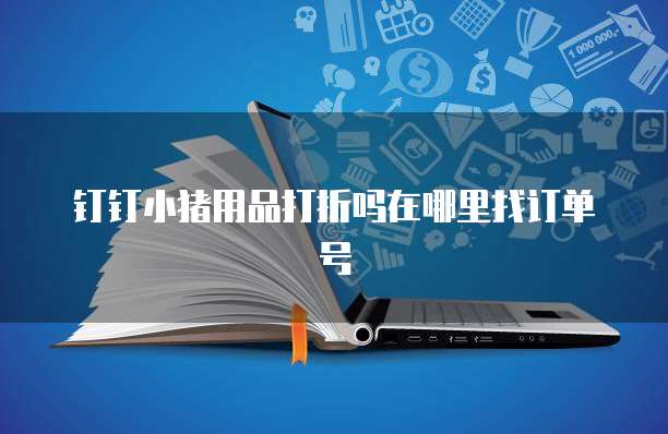 钉钉小猪用品打折吗在哪里找订单号