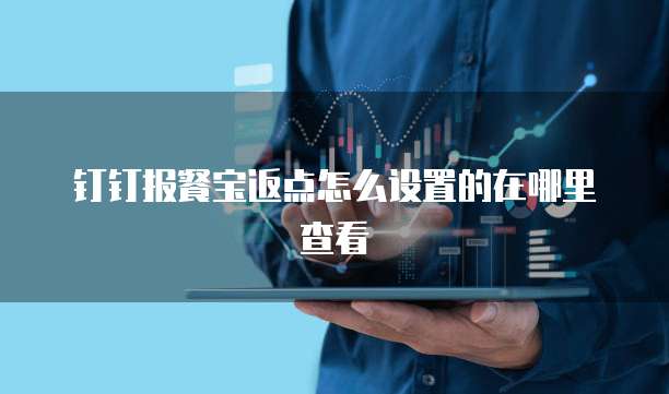 钉钉报餐宝返点怎么设置的在哪里查看