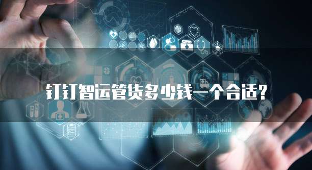 钉钉智运管货多少钱一个合适？