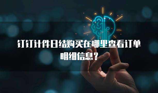 钉钉计件日结购买在哪里查看订单明细信息？