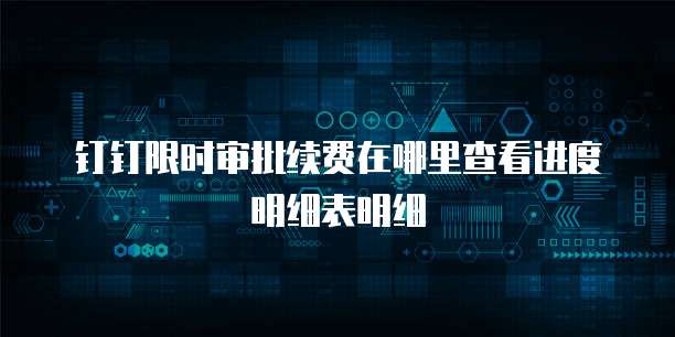 钉钉限时审批续费在哪里查看进度明细表明细