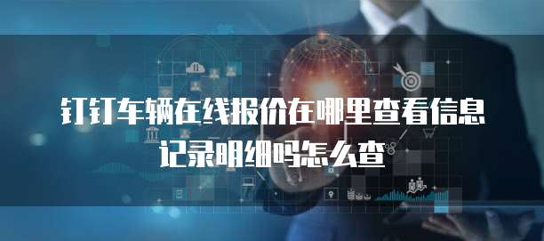 钉钉车辆在线报价在哪里查看信息记录明细吗怎么查