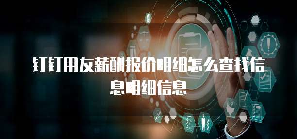 钉钉用友薪酬报价明细怎么查找信息明细信息