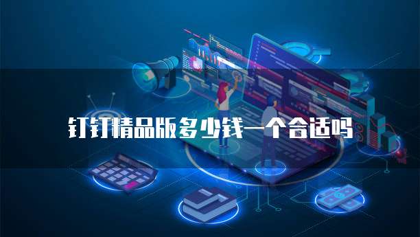 钉钉精品版多少钱一个合适吗