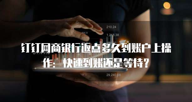 钉钉网商银行返点多久到账户上操作:快速到账还是等待?