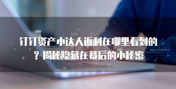 钉钉资产小达人返利在哪里看到的？揭秘隐藏在幕后的小秘密