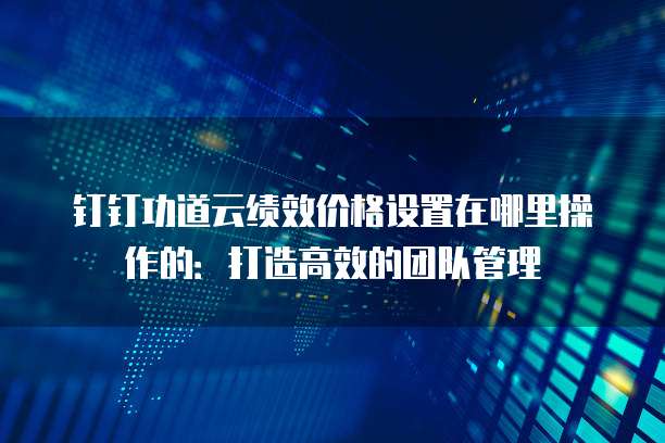 钉钉功道云绩效价格设置在哪里操作的:打造高效的团队管理