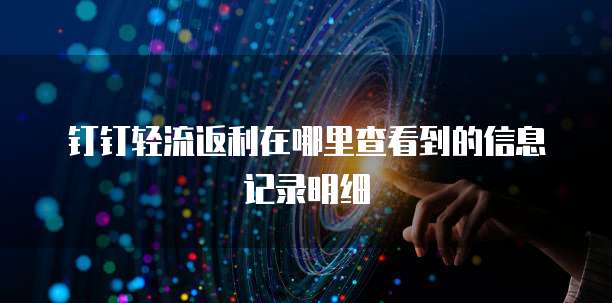 钉钉轻流返利在哪里查看到的信息记录明细