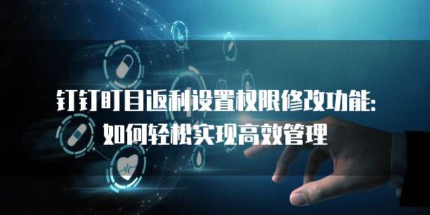 钉钉盯目返利设置权限修改功能：如何轻松实现高效管理