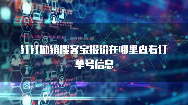 钉钉励销搜客宝报价在哪里查看订单号信息