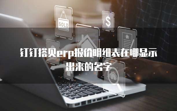 钉钉搭贝erp报价明细表在哪显示出来的名字