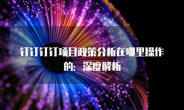 钉钉钉钉项目政策分析在哪里操作的：深度解析