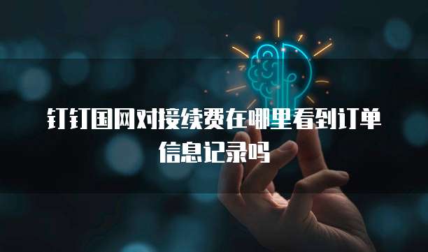钉钉国网对接续费在哪里看到订单信息记录吗