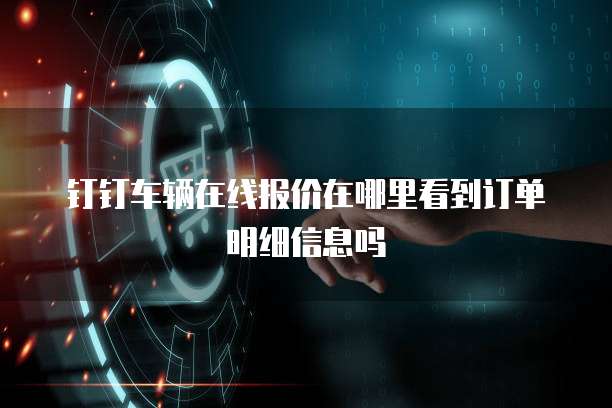 钉钉车辆在线报价在哪里看到订单明细信息吗