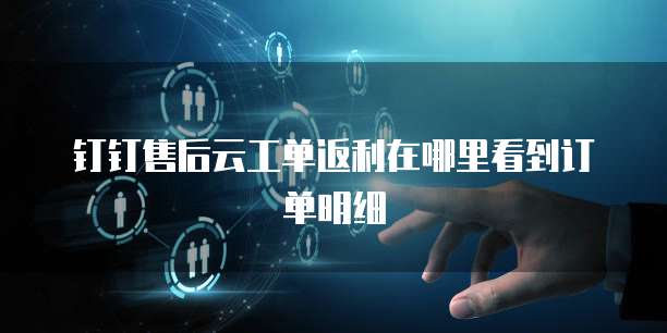 钉钉售后云工单返利在哪里看到订单明细