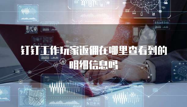 钉钉工作玩家返佣在哪里查看到的明细信息吗