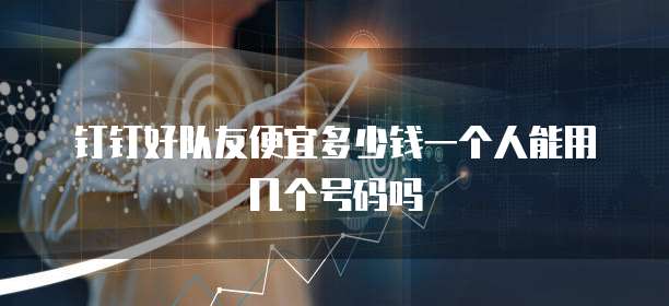 钉钉好队友便宜多少钱一个人能用几个号码吗
