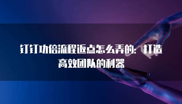 钉钉功倍流程返点怎么弄的：打造高效团队的利器