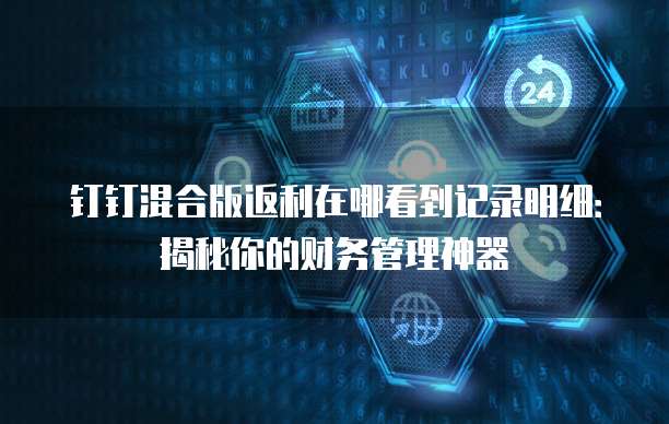 钉钉混合版返利在哪看到记录明细:揭秘你的财务管理神器