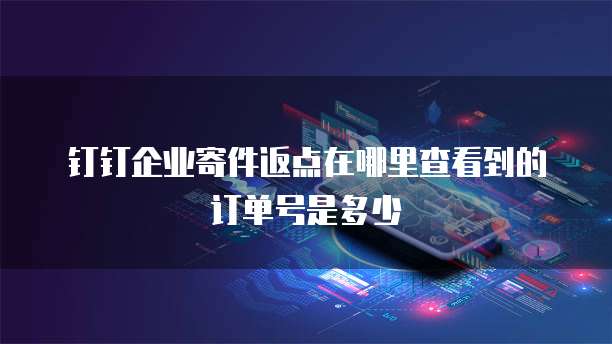 钉钉企业寄件返点在哪里查看到的订单号是多少