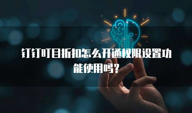 钉钉盯目折扣怎么开通权限设置功能使用吗？