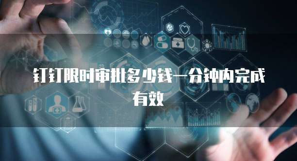 钉钉限时审批多少钱一分钟内完成有效