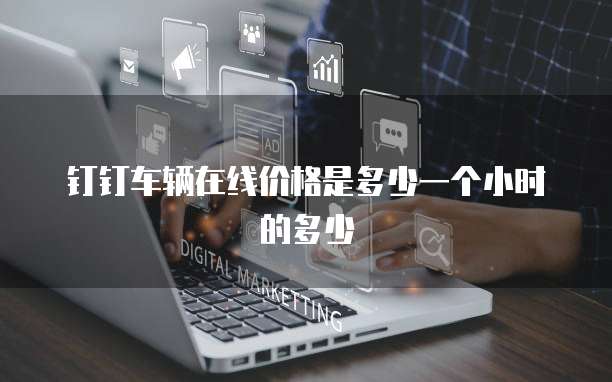 钉钉车辆在线价格是多少一个小时的多少