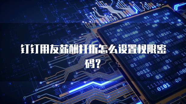 钉钉用友薪酬打折怎么设置权限密码?