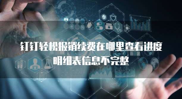钉钉轻松报销续费在哪里查看进度明细表信息不完整