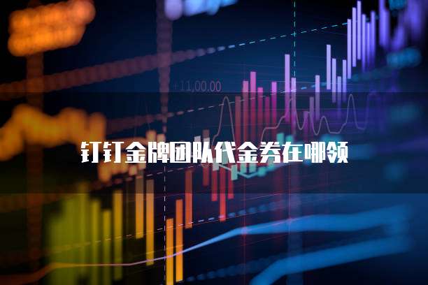 钉钉金牌团队代金券在哪领