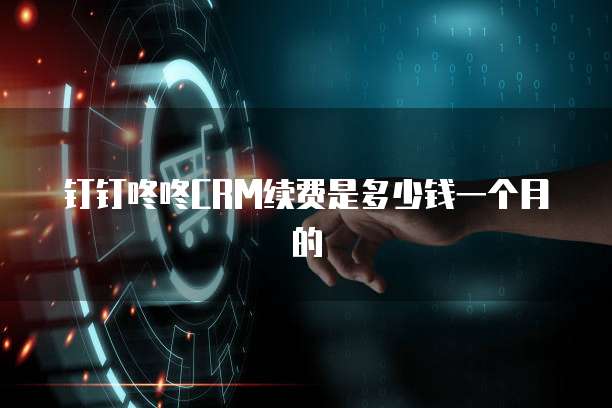 钉钉咚咚CRM续费是多少钱一个月的