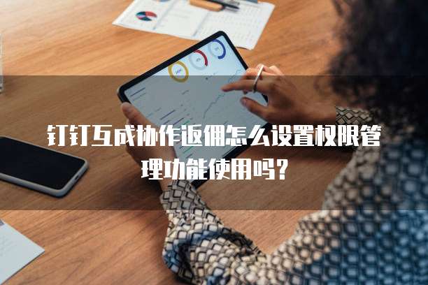 钉钉互成协作返佣怎么设置权限管理功能使用吗?