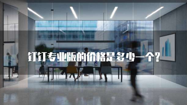 钉钉专业版的价格是多少一个?